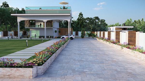 Lawn Designs 2